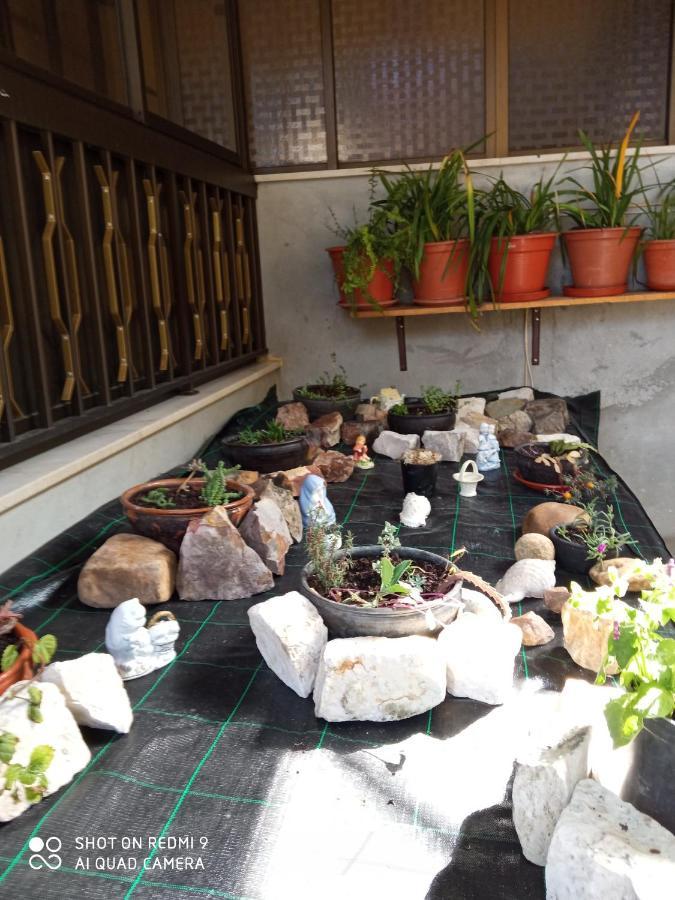 Casa Dos Grilos Пенакова Екстер'єр фото