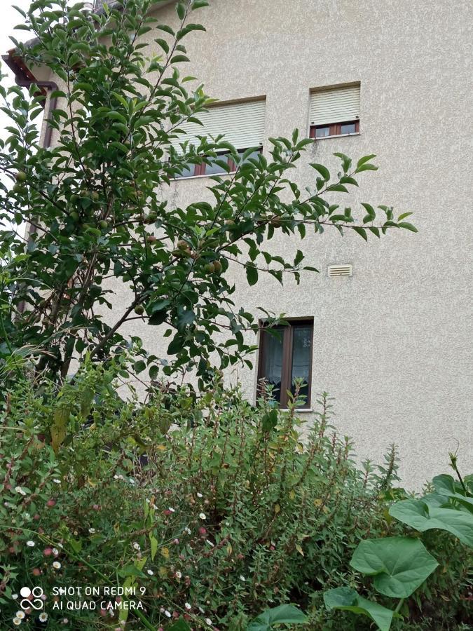 Casa Dos Grilos Пенакова Екстер'єр фото